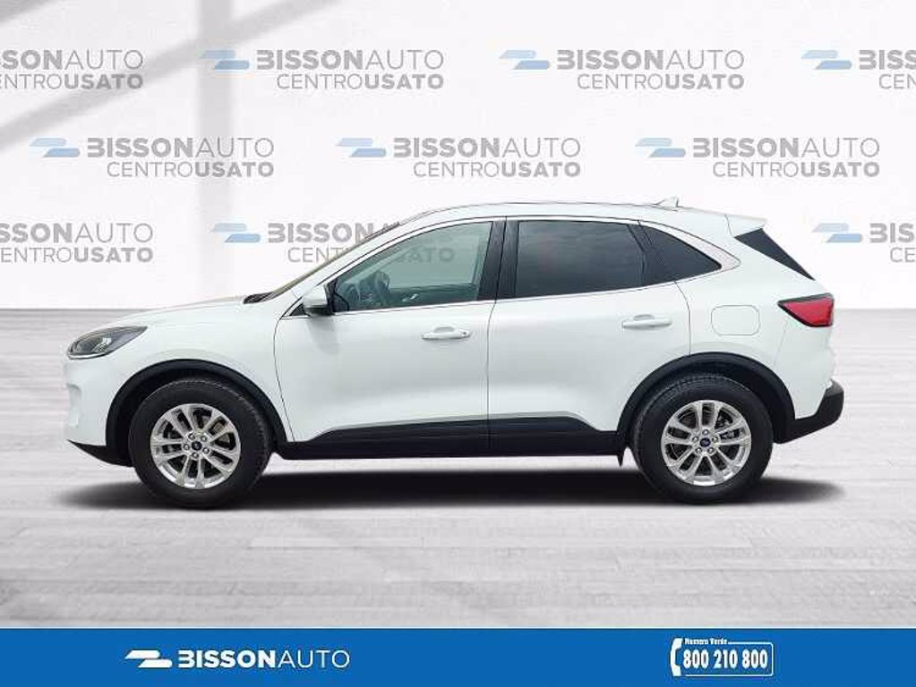 FORD Kuga 1.5 EcoBlue 120 CV 2WD Titanium Business