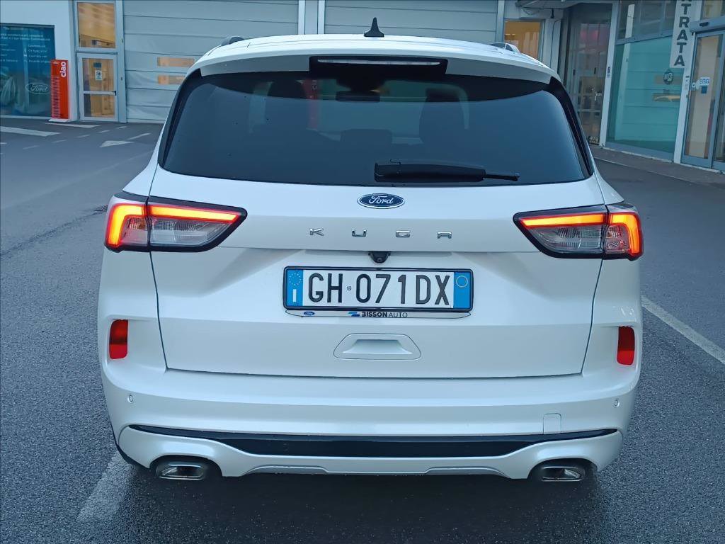 FORD Kuga 1.5 ecoblue ST-Line X 2wd 120cv auto